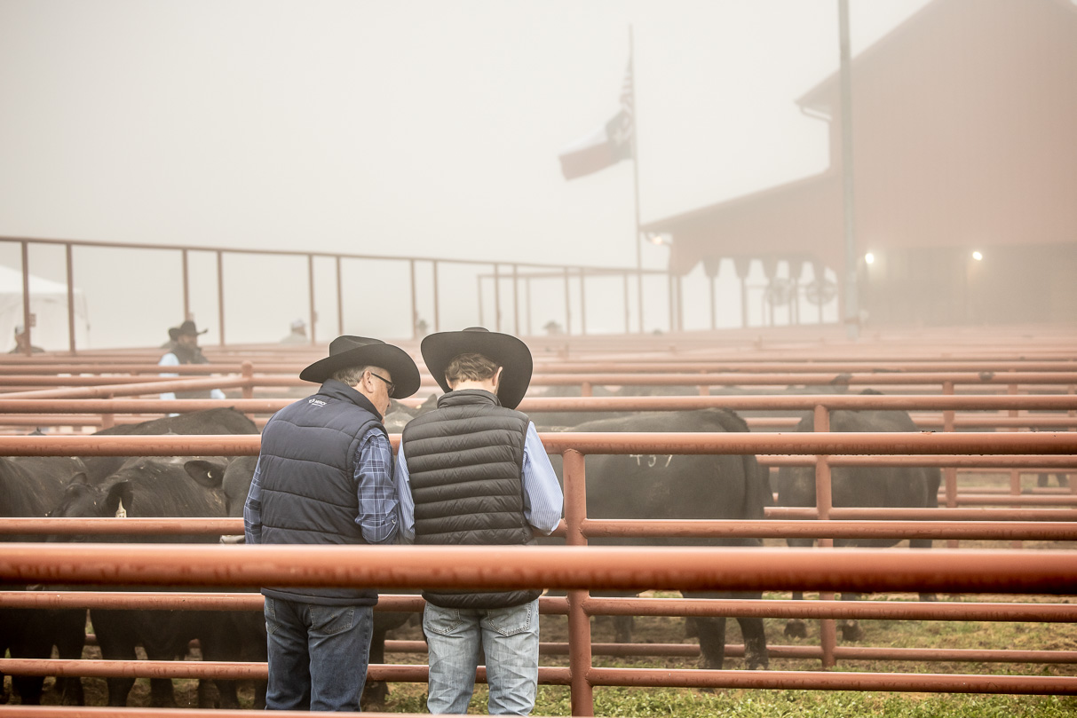 44Farms_Cameron_BullSale_Feb2021-516145