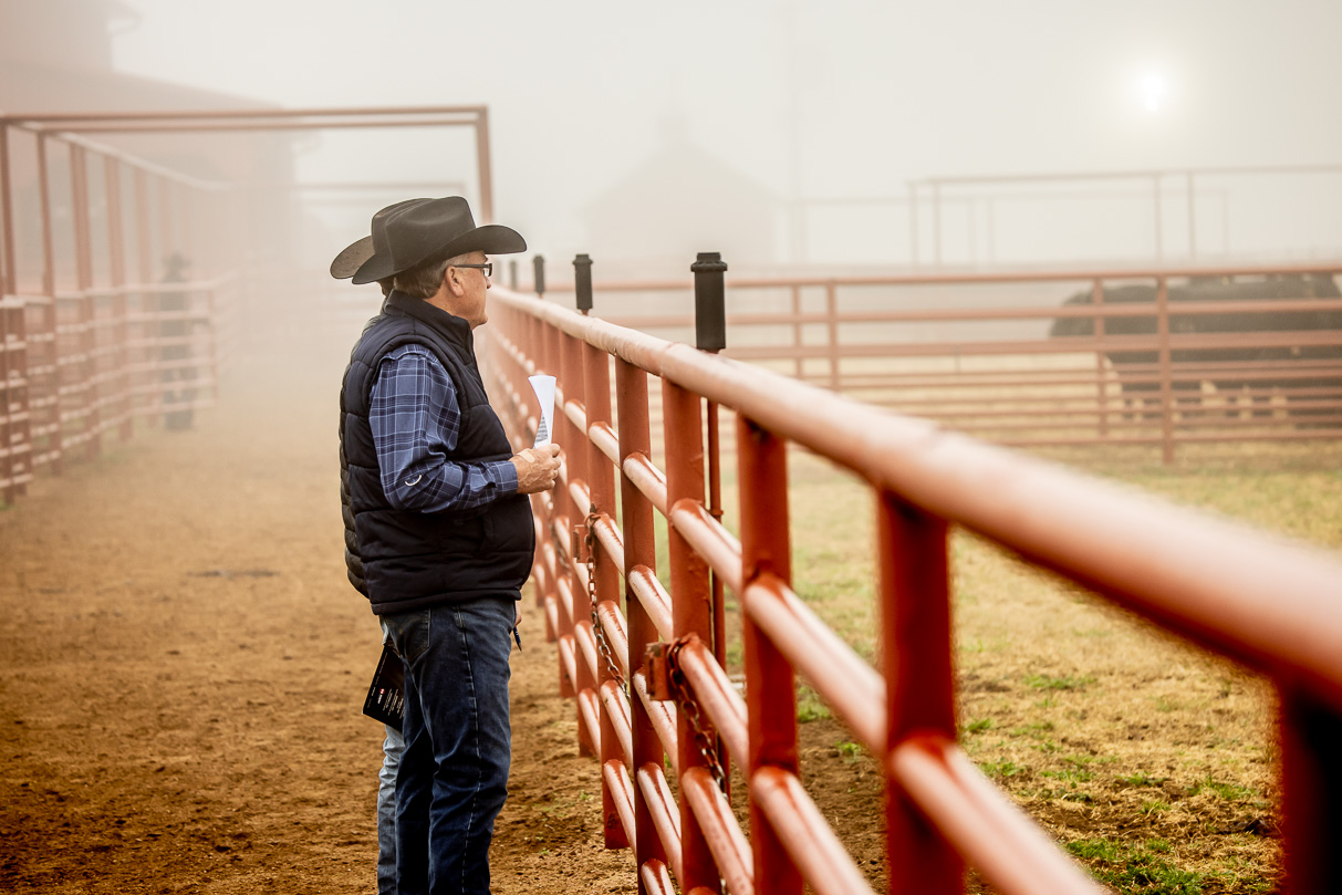 44Farms_Cameron_BullSale_Feb2021-516233