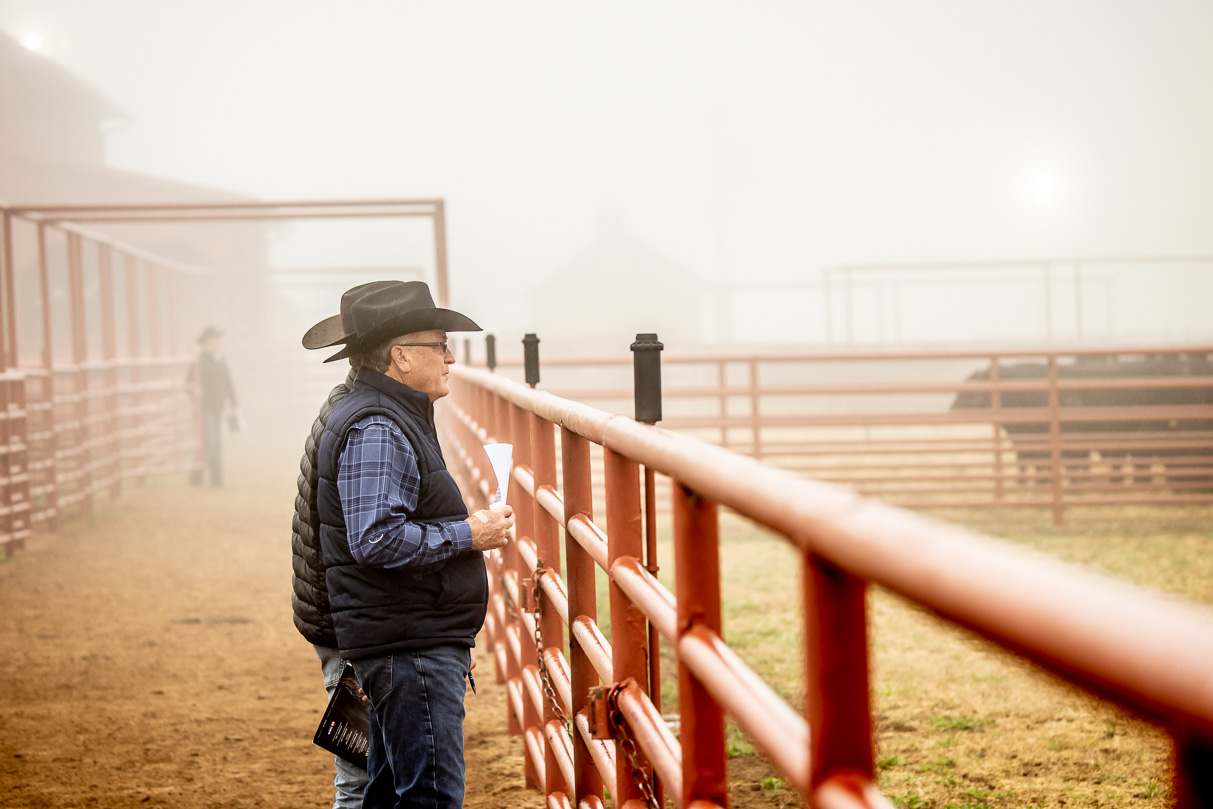 44Farms_Cameron_BullSale_Feb2021-516235