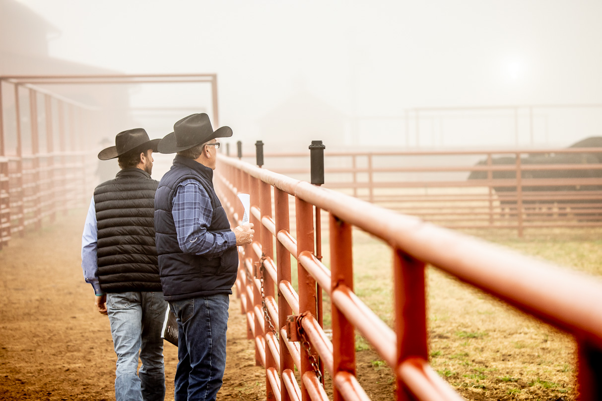 44Farms_Cameron_BullSale_Feb2021-516238