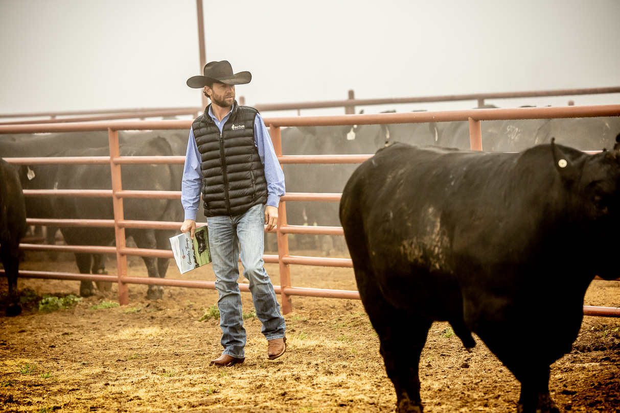 44Farms_Cameron_BullSale_Feb2021-516248