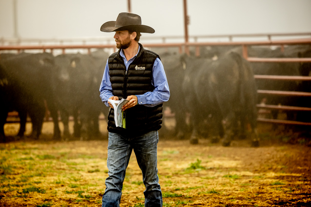 44Farms_Cameron_BullSale_Feb2021-516255