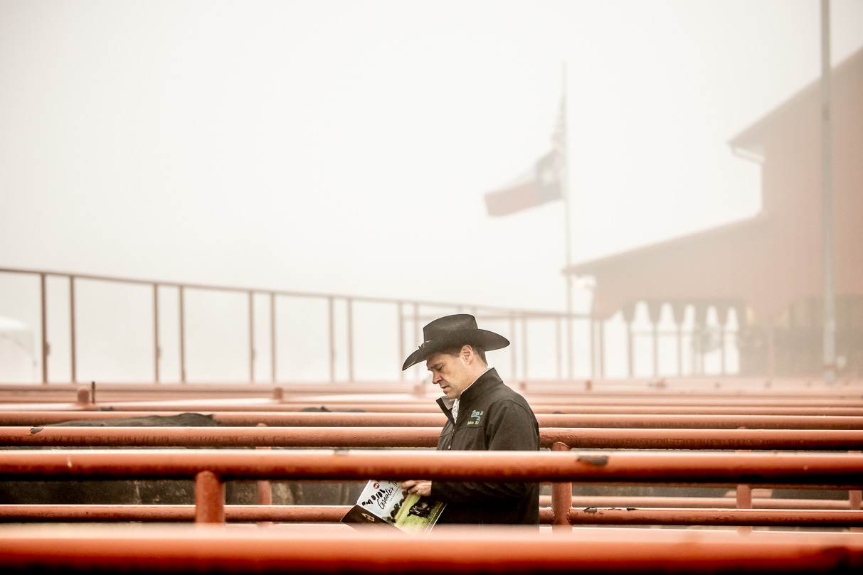 44Farms_Cameron_BullSale_Feb2021-516300