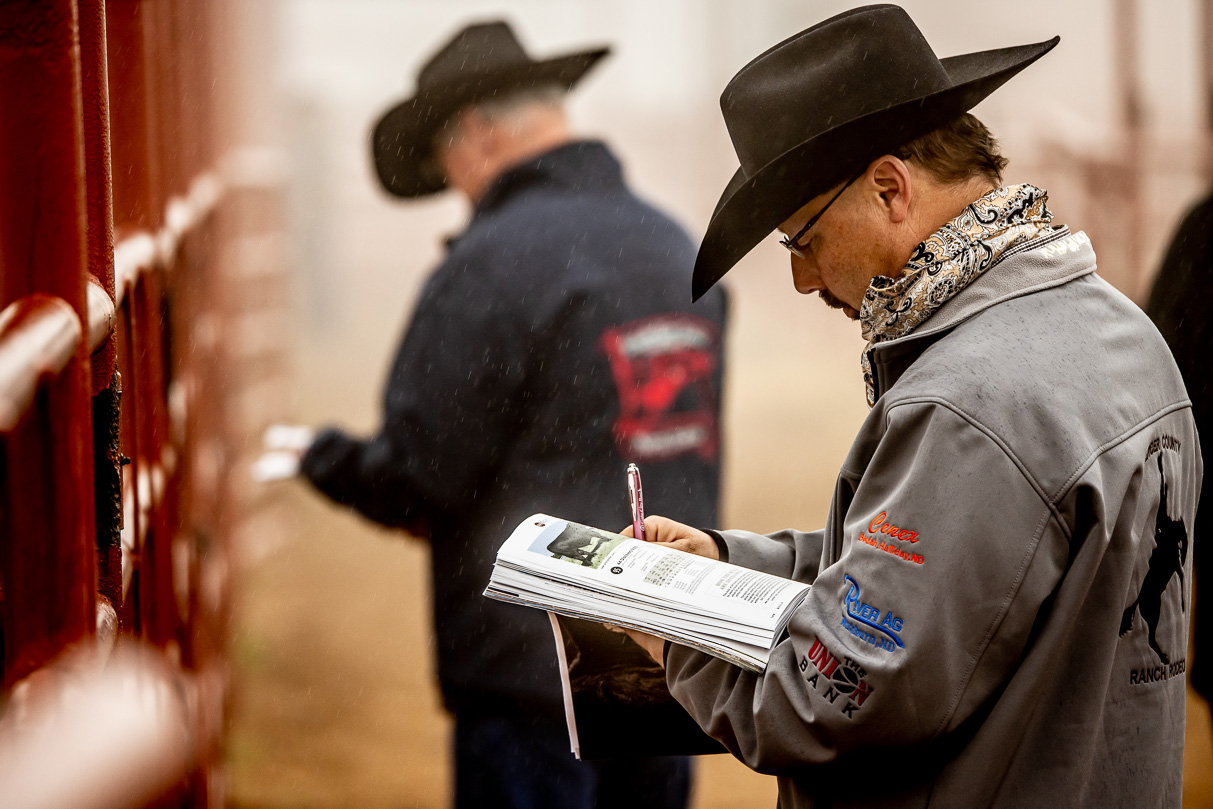 44Farms_Cameron_BullSale_Feb2021-516313