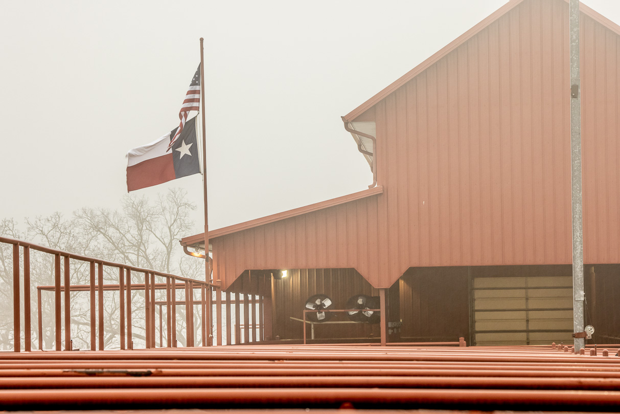 44Farms_Cameron_BullSale_Feb2021-516337