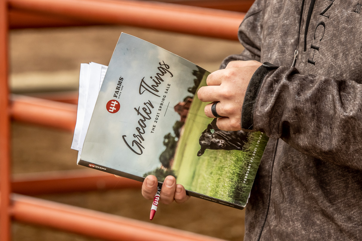 44Farms_Cameron_BullSale_Feb2021-516379
