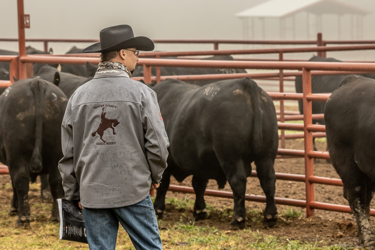 44Farms_Cameron_BullSale_Feb2021-516398