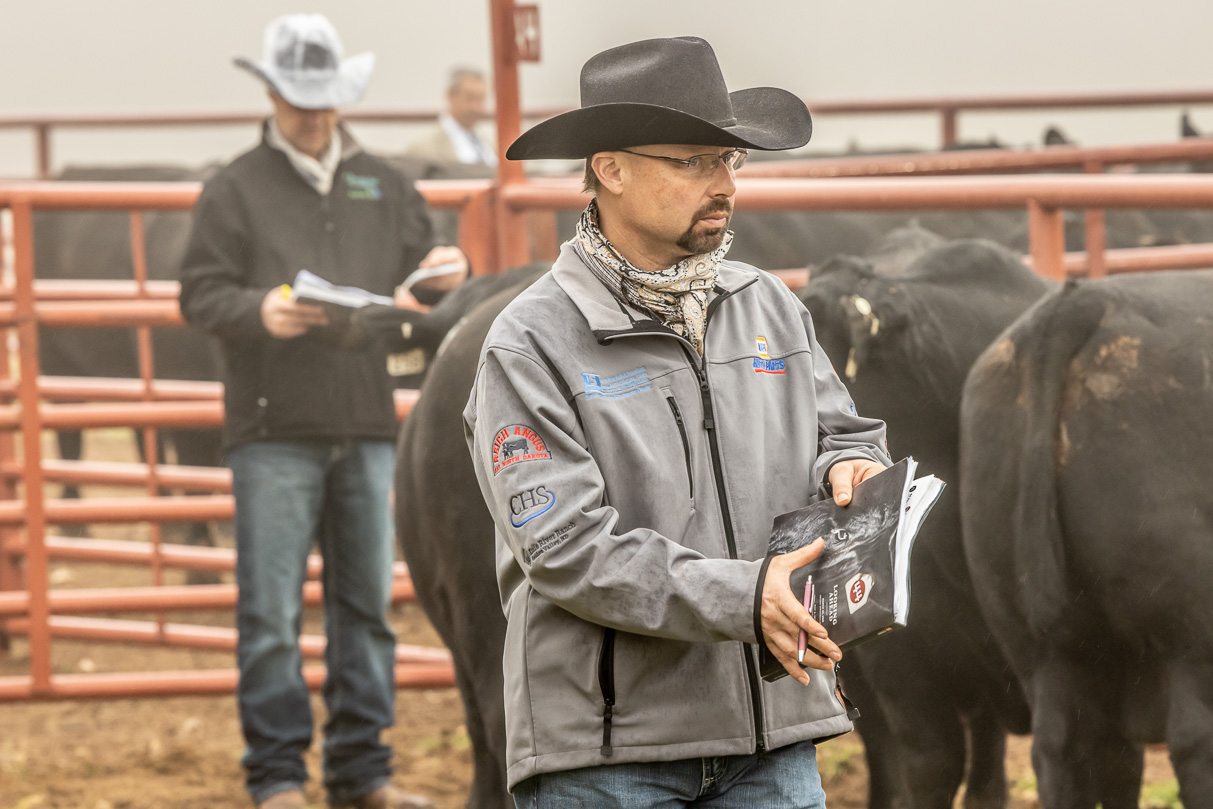 44Farms_Cameron_BullSale_Feb2021-516411