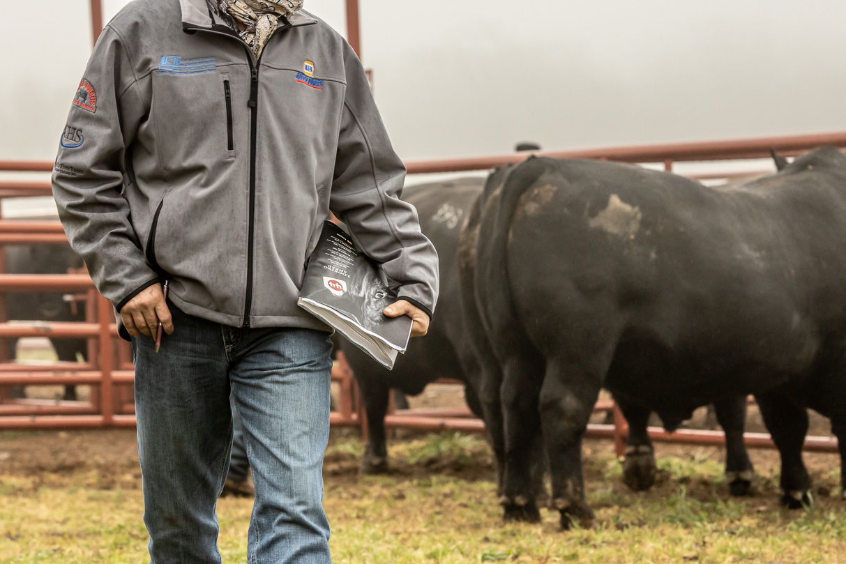 44Farms_Cameron_BullSale_Feb2021-516419