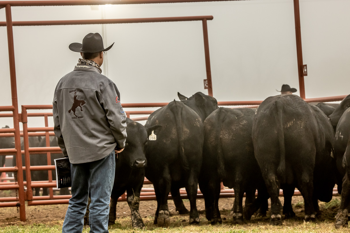 44Farms_Cameron_BullSale_Feb2021-516473