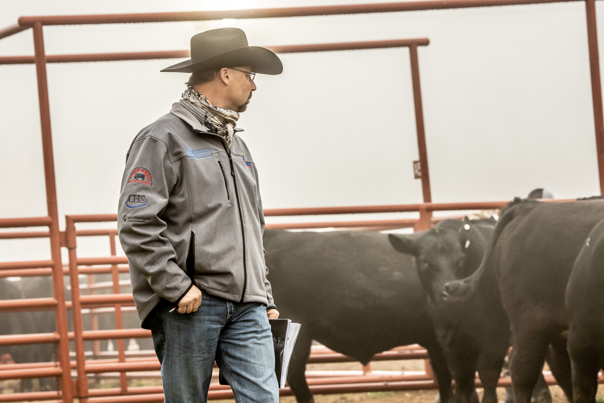 44Farms_Cameron_BullSale_Feb2021-516481