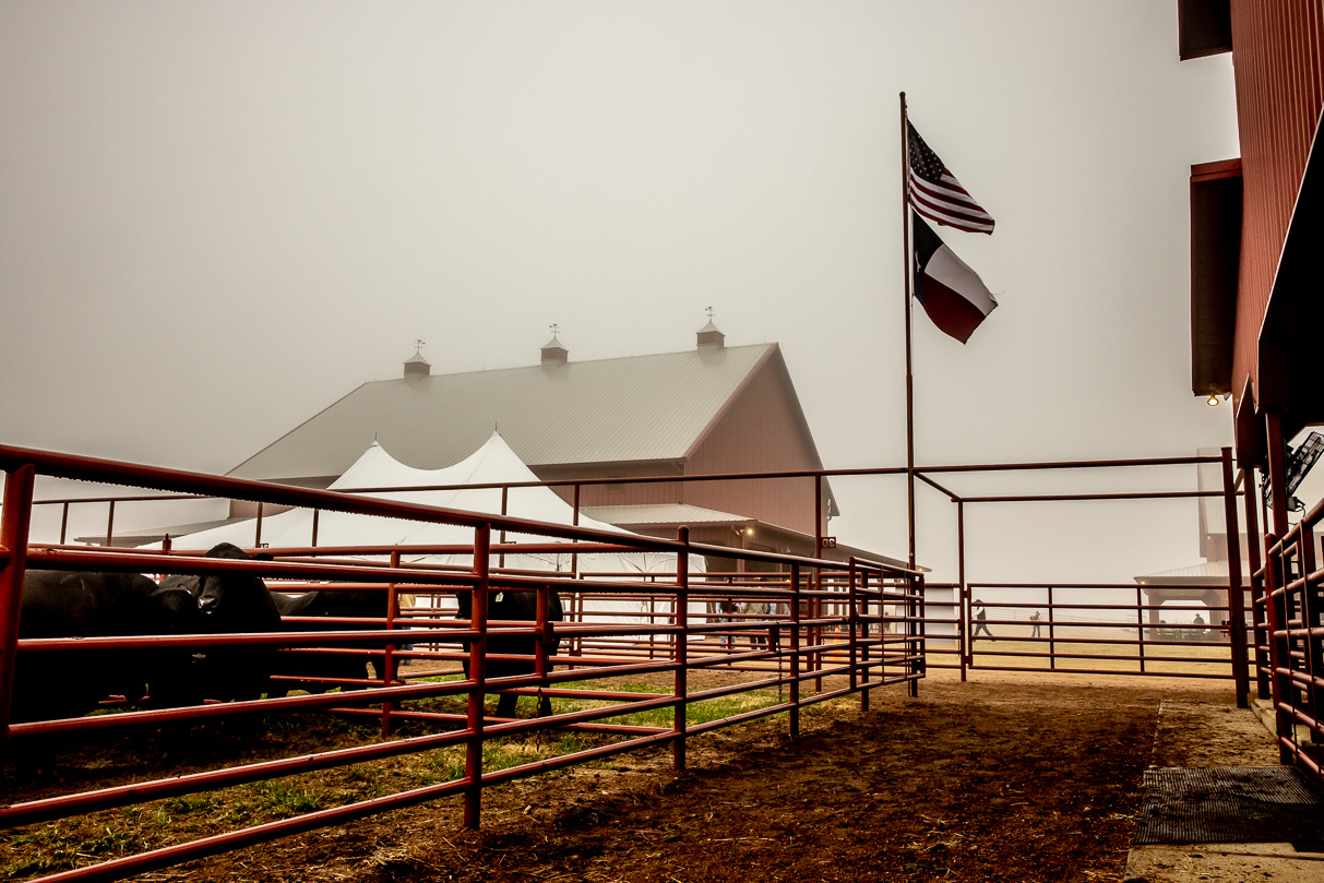 44Farms_Cameron_BullSale_Feb2021-516510