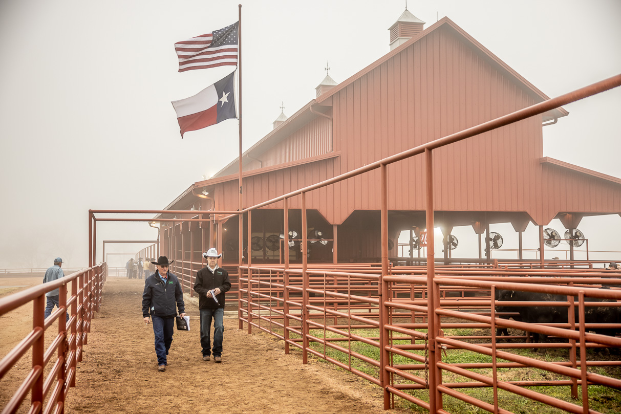 44Farms_Cameron_BullSale_Feb2021-516632