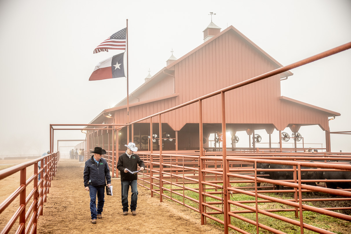 44Farms_Cameron_BullSale_Feb2021-516638