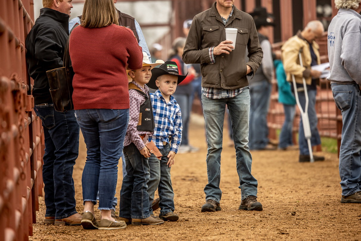 44Farms_Cameron_BullSale_Feb2021-516839
