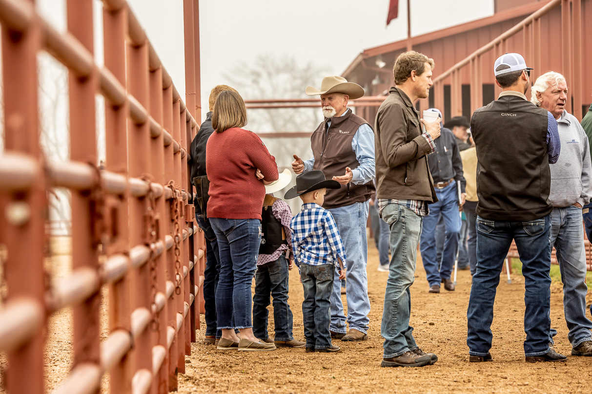 44Farms_Cameron_BullSale_Feb2021-516858