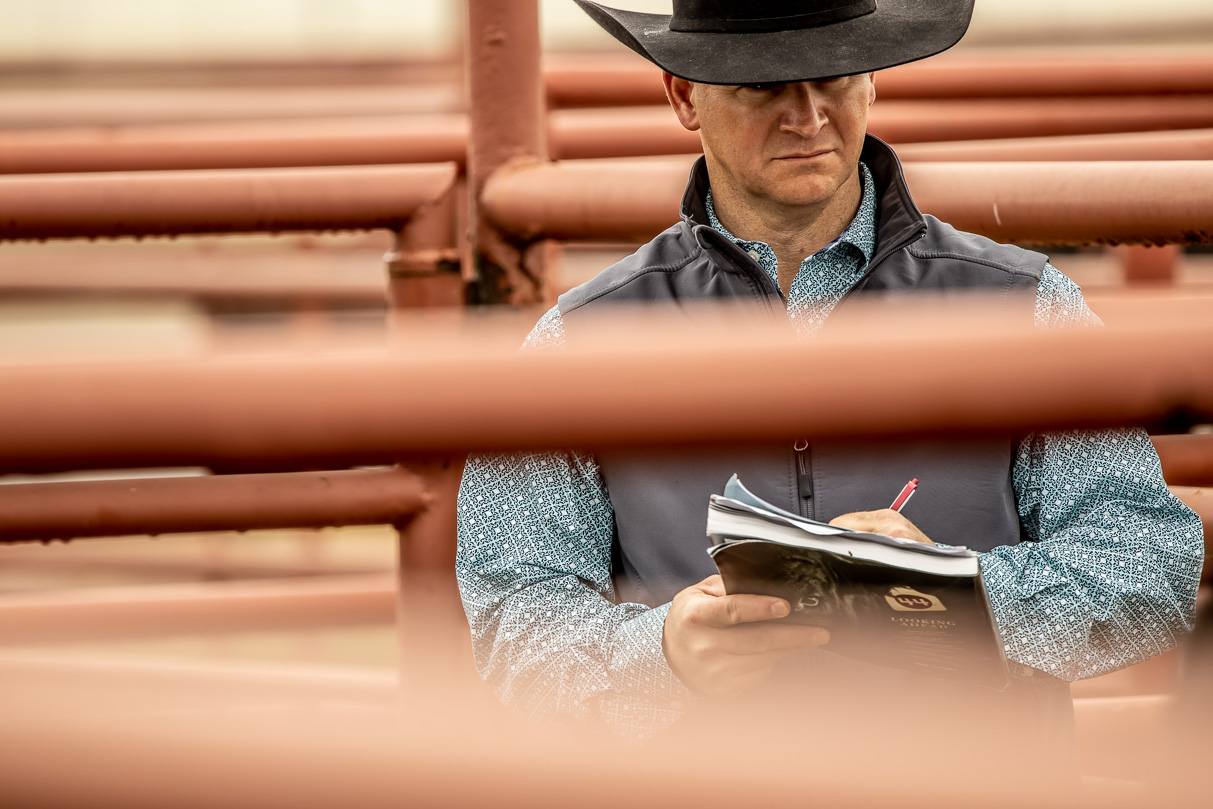 44Farms_Cameron_BullSale_Feb2021-516928