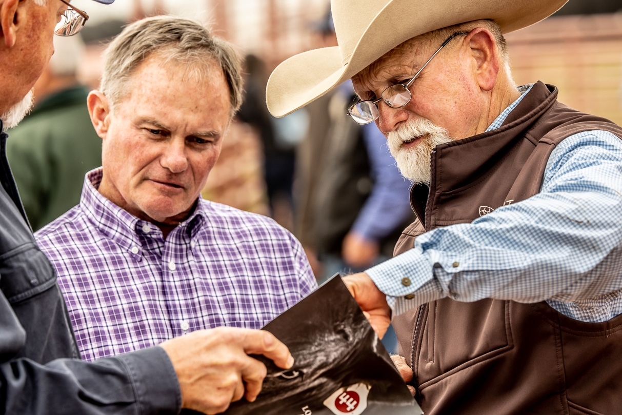 44Farms_Cameron_BullSale_Feb2021-516943