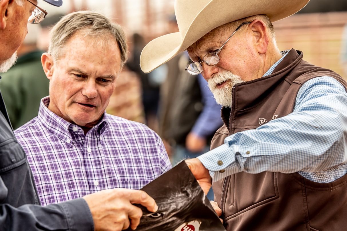 44Farms_Cameron_BullSale_Feb2021-516945