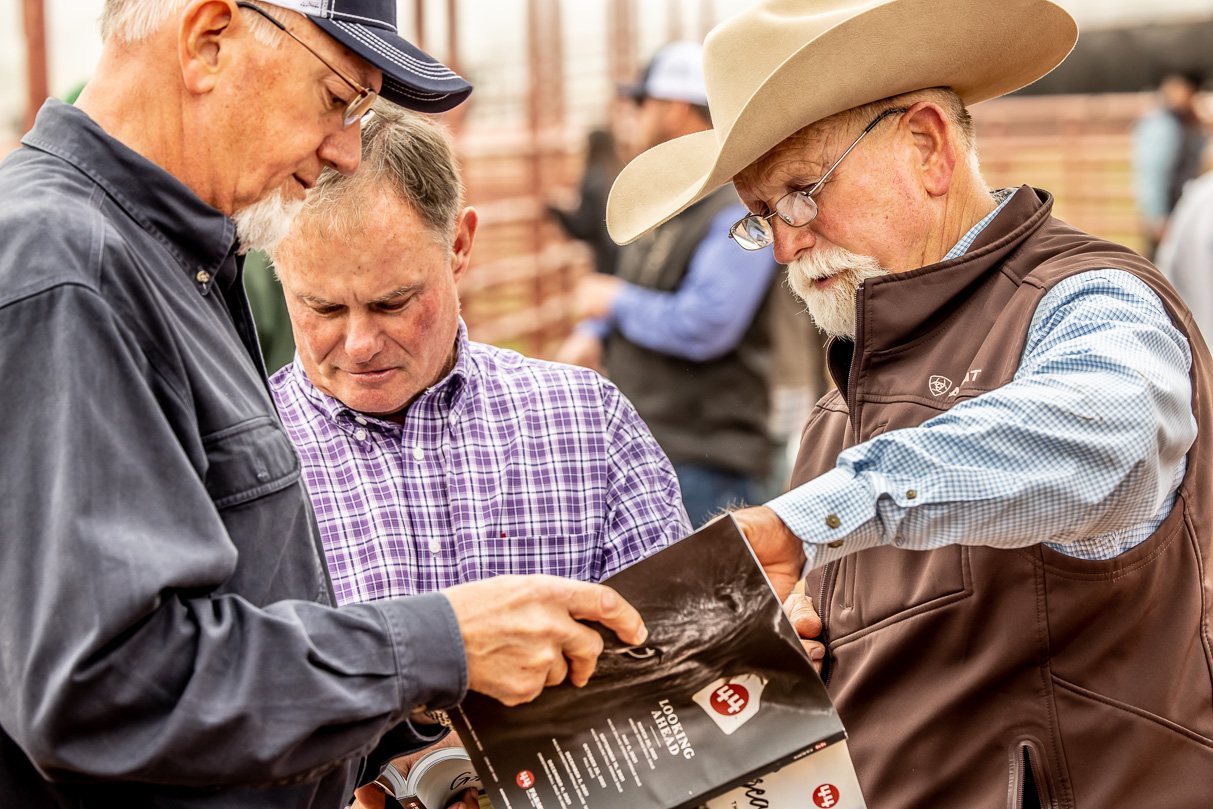 44Farms_Cameron_BullSale_Feb2021-516950