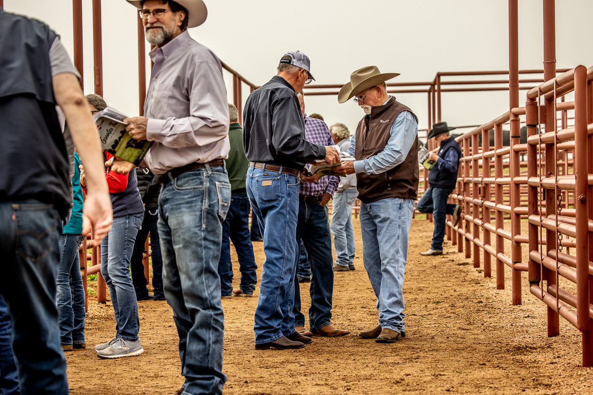 44Farms_Cameron_BullSale_Feb2021-516961