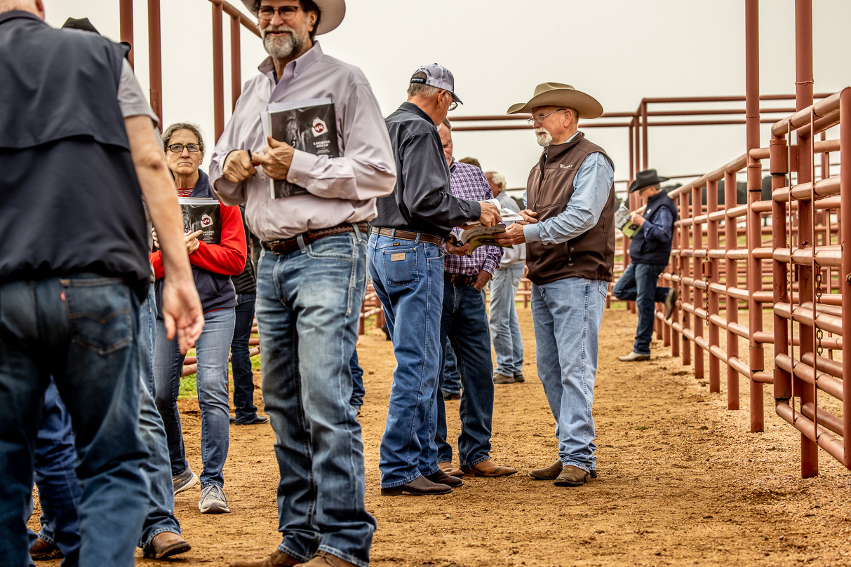 44Farms_Cameron_BullSale_Feb2021-516963