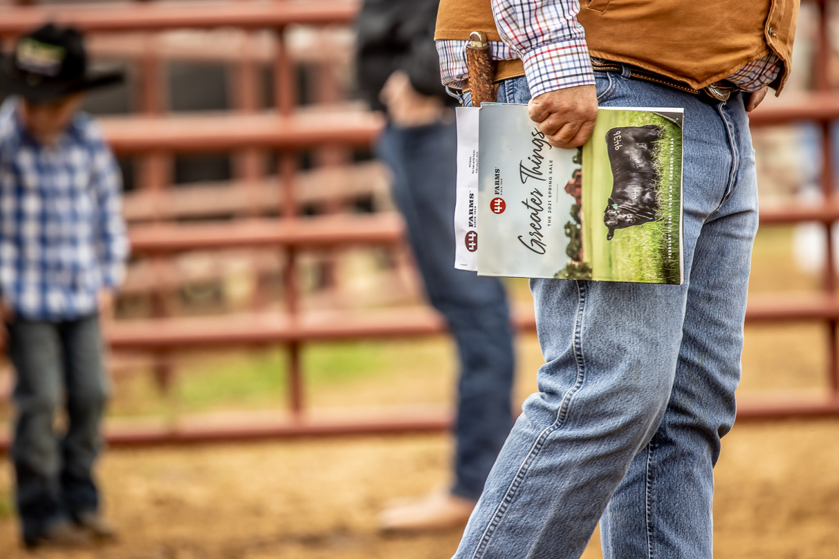 44Farms_Cameron_BullSale_Feb2021-516974