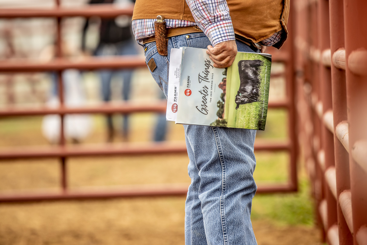 44Farms_Cameron_BullSale_Feb2021-516976