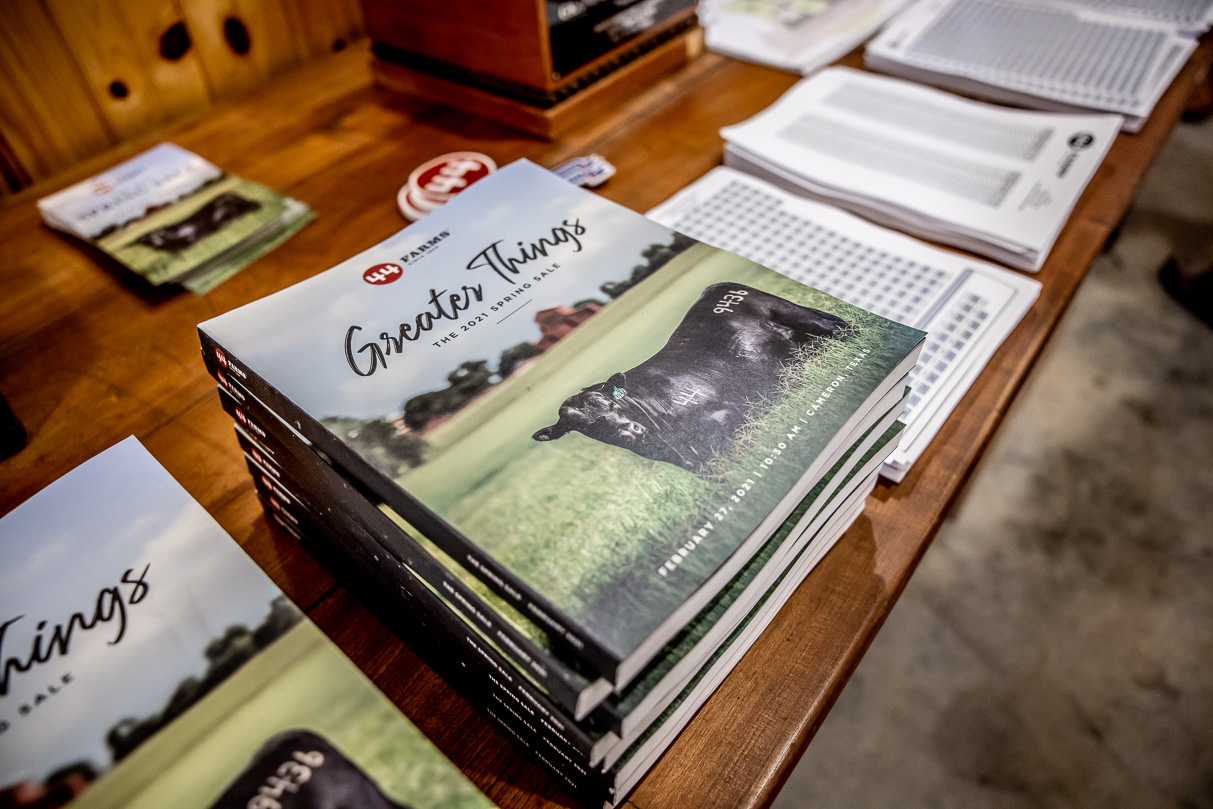 44Farms_Cameron_BullSale_Feb2021-517042