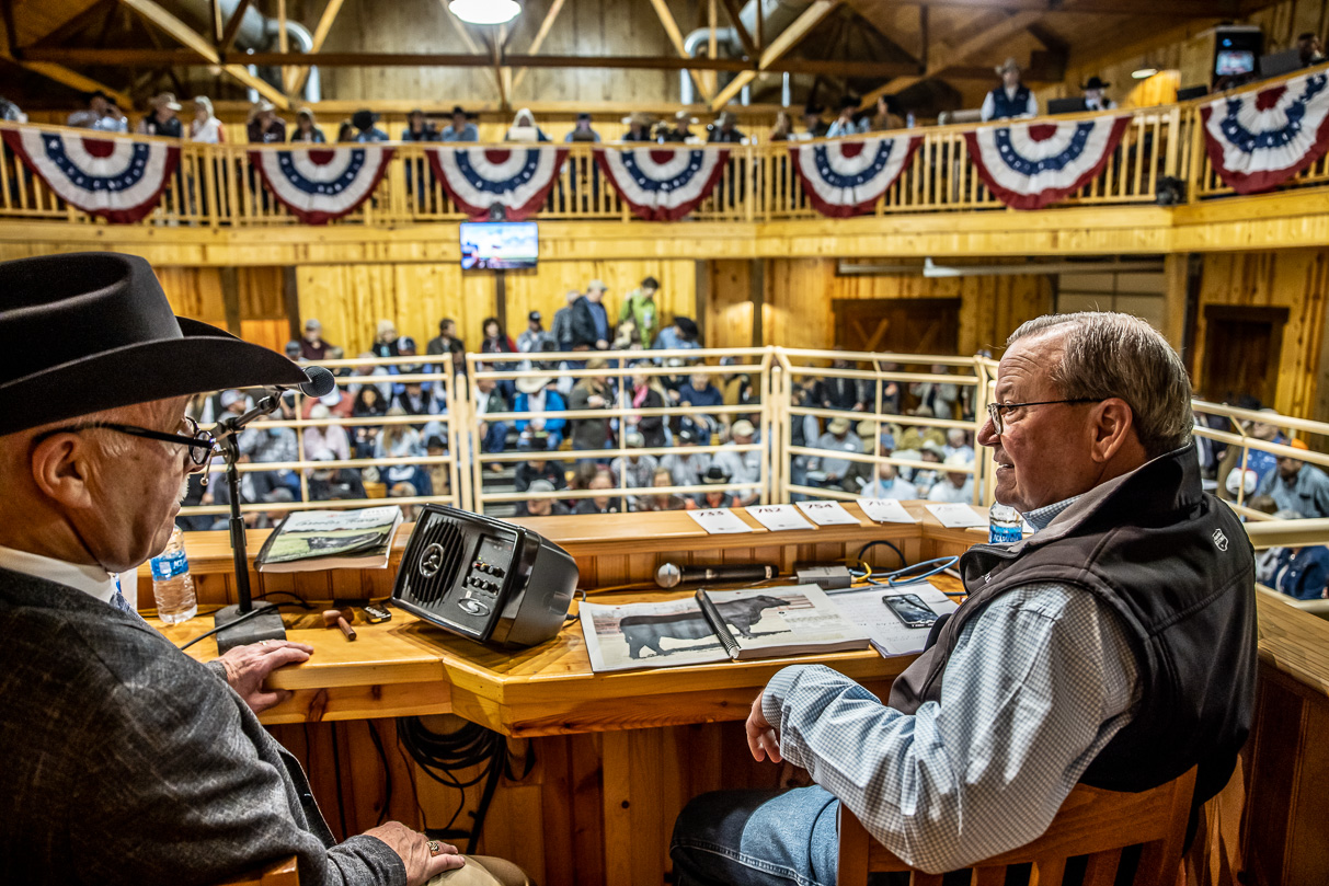 44Farms_Cameron_BullSale_Feb2021-517060