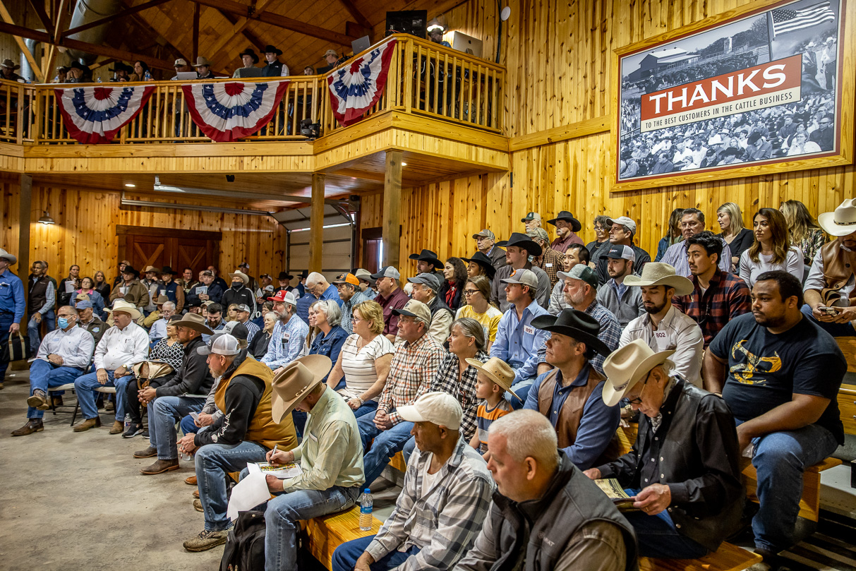 44Farms_Cameron_BullSale_Feb2021-517262