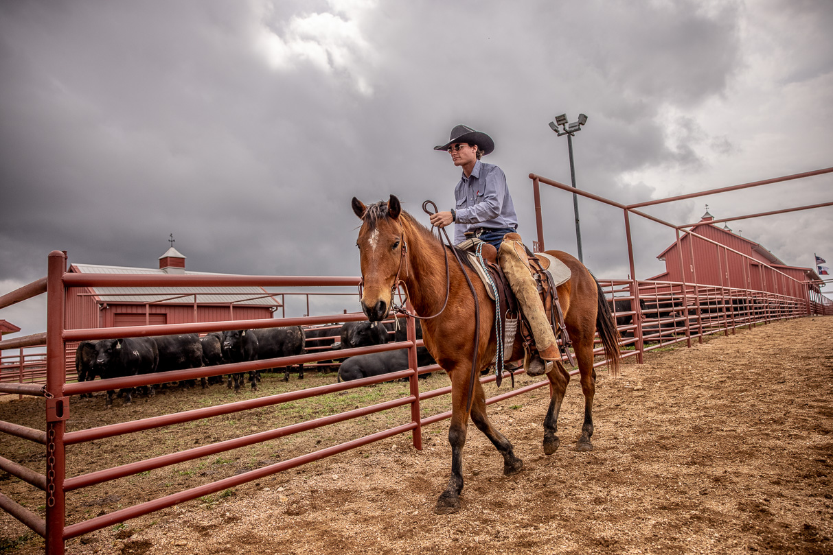 44Farms_Cameron_BullSale_Feb2021-517574