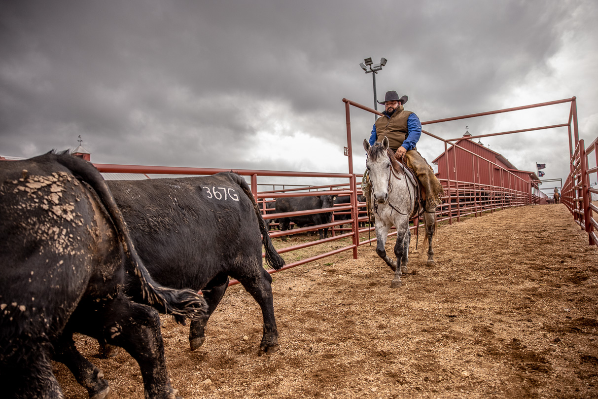 44Farms_Cameron_BullSale_Feb2021-517590