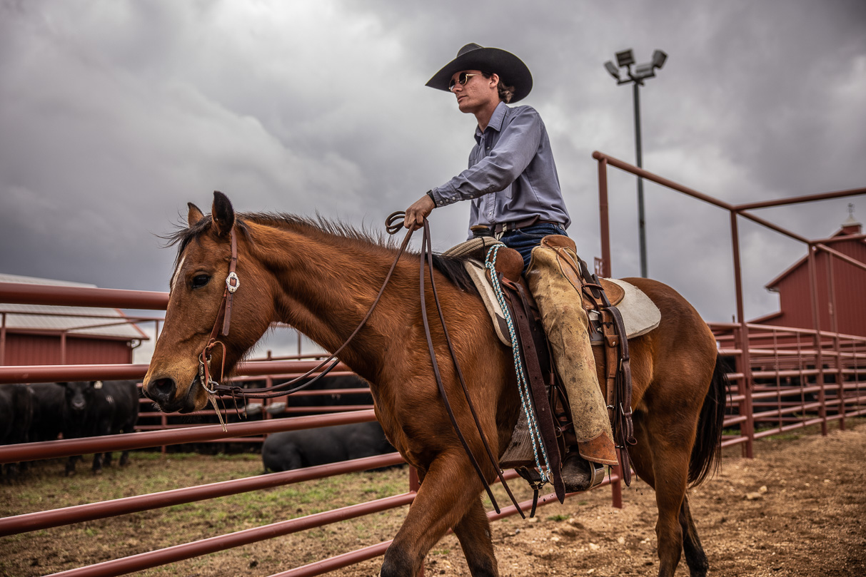 44Farms_Cameron_BullSale_Feb2021-517622