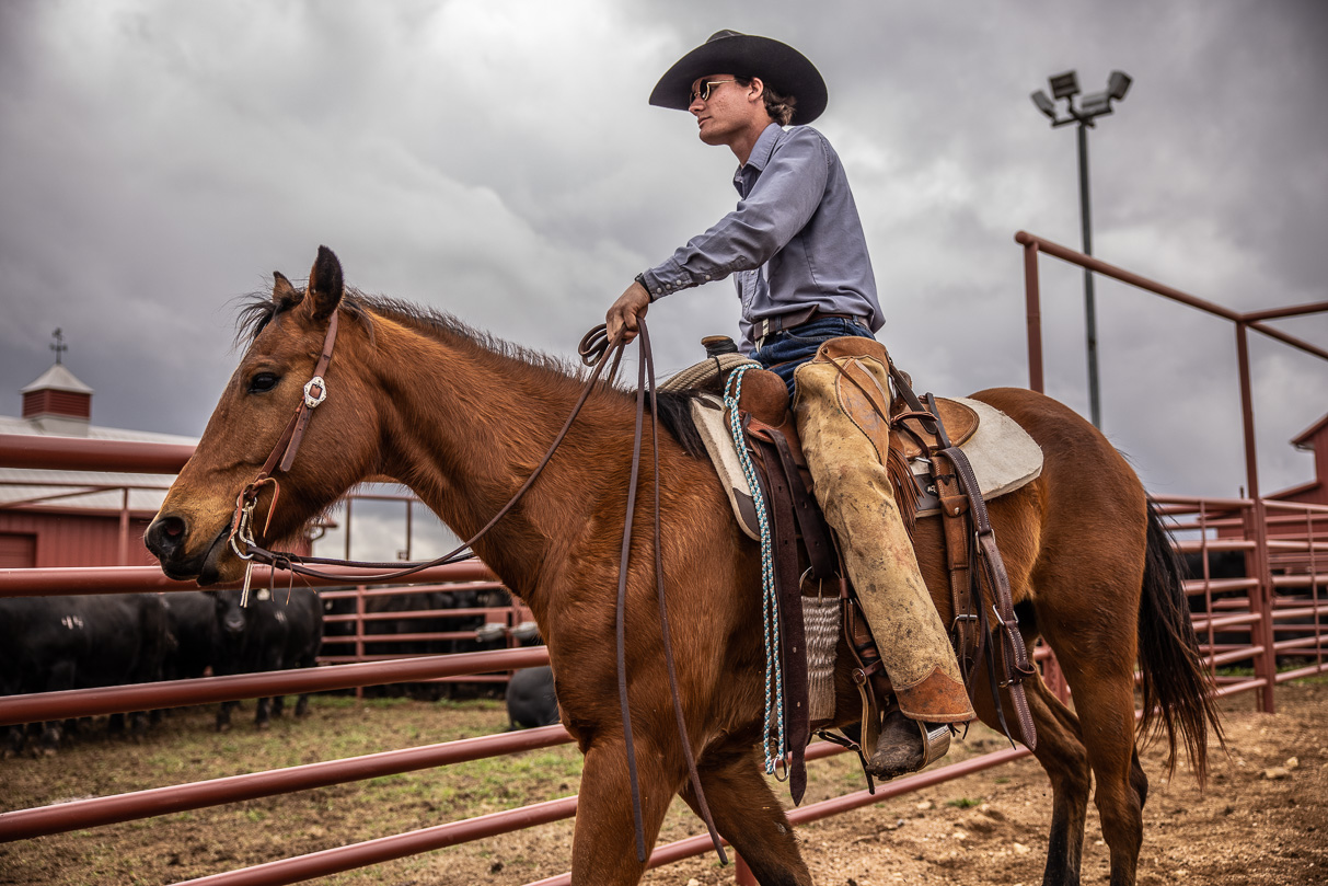 44Farms_Cameron_BullSale_Feb2021-517623