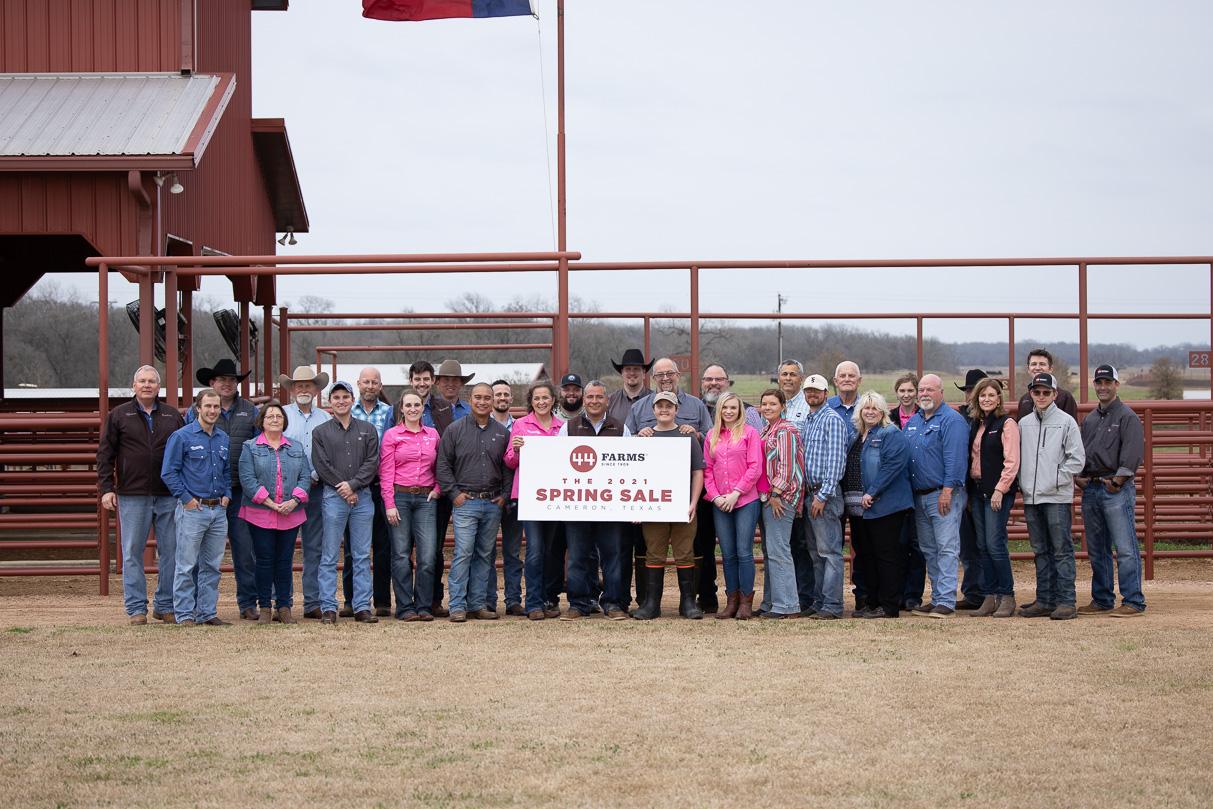44Farms_Cameron_BullSale_Feb2021-518491