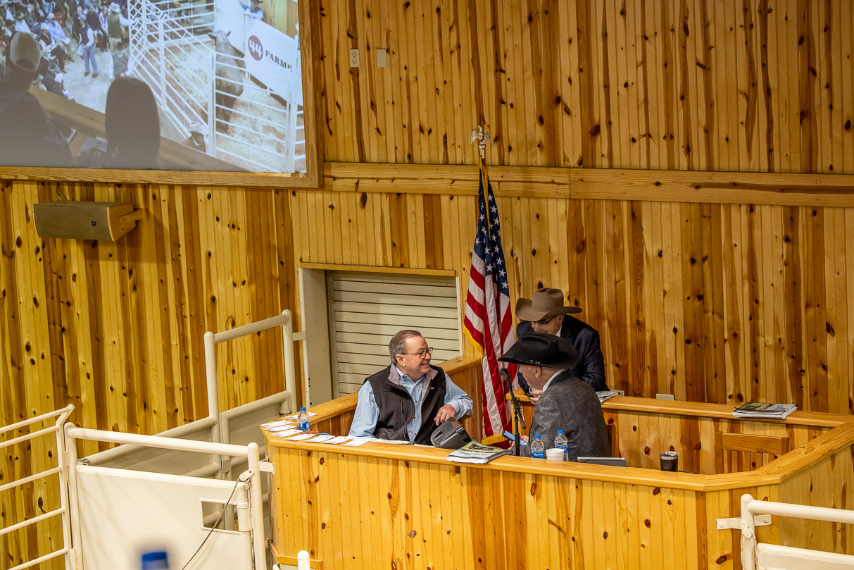 44Farms_Cameron_BullSale_Feb2021-523424