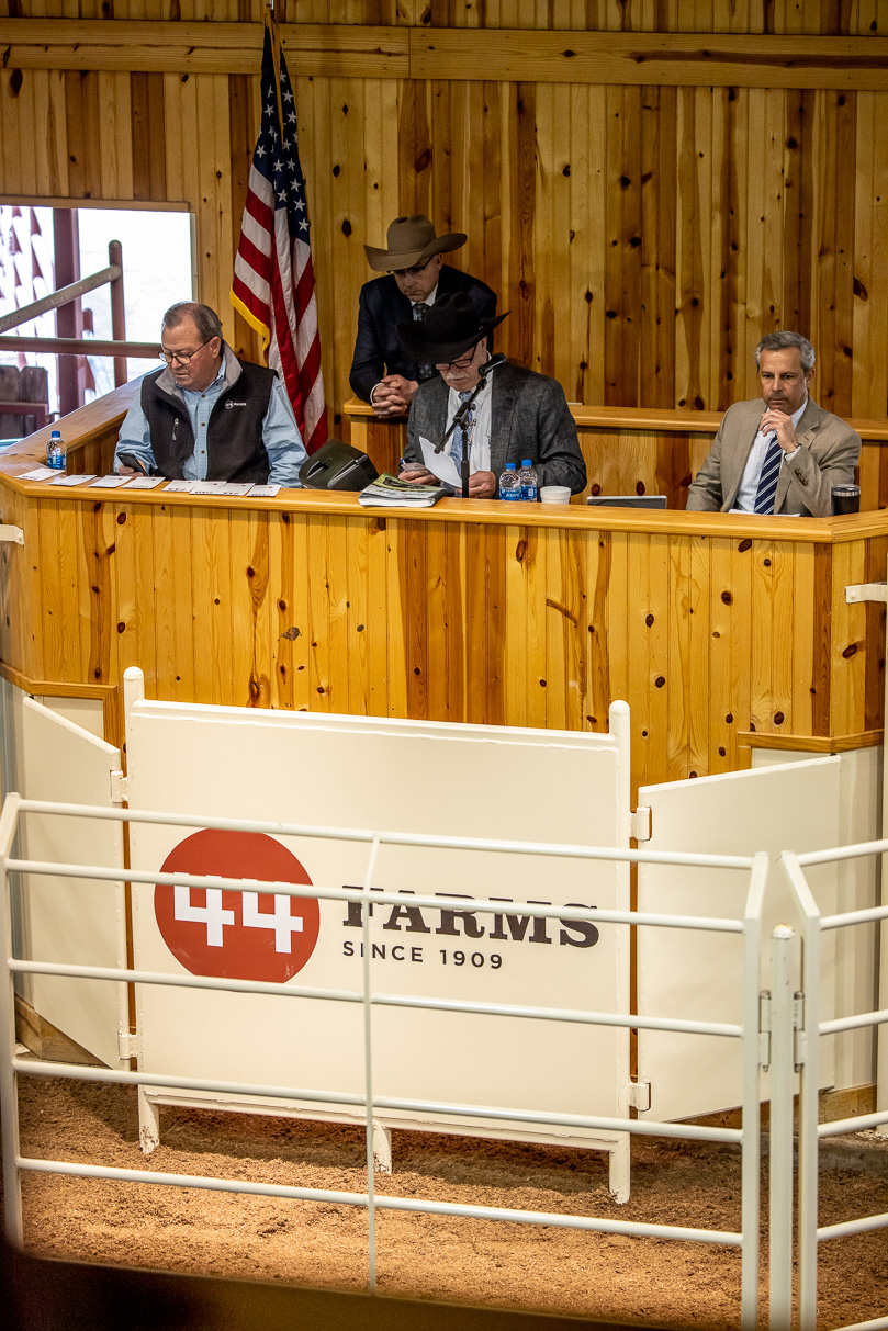 44Farms_Cameron_BullSale_Feb2021-523455