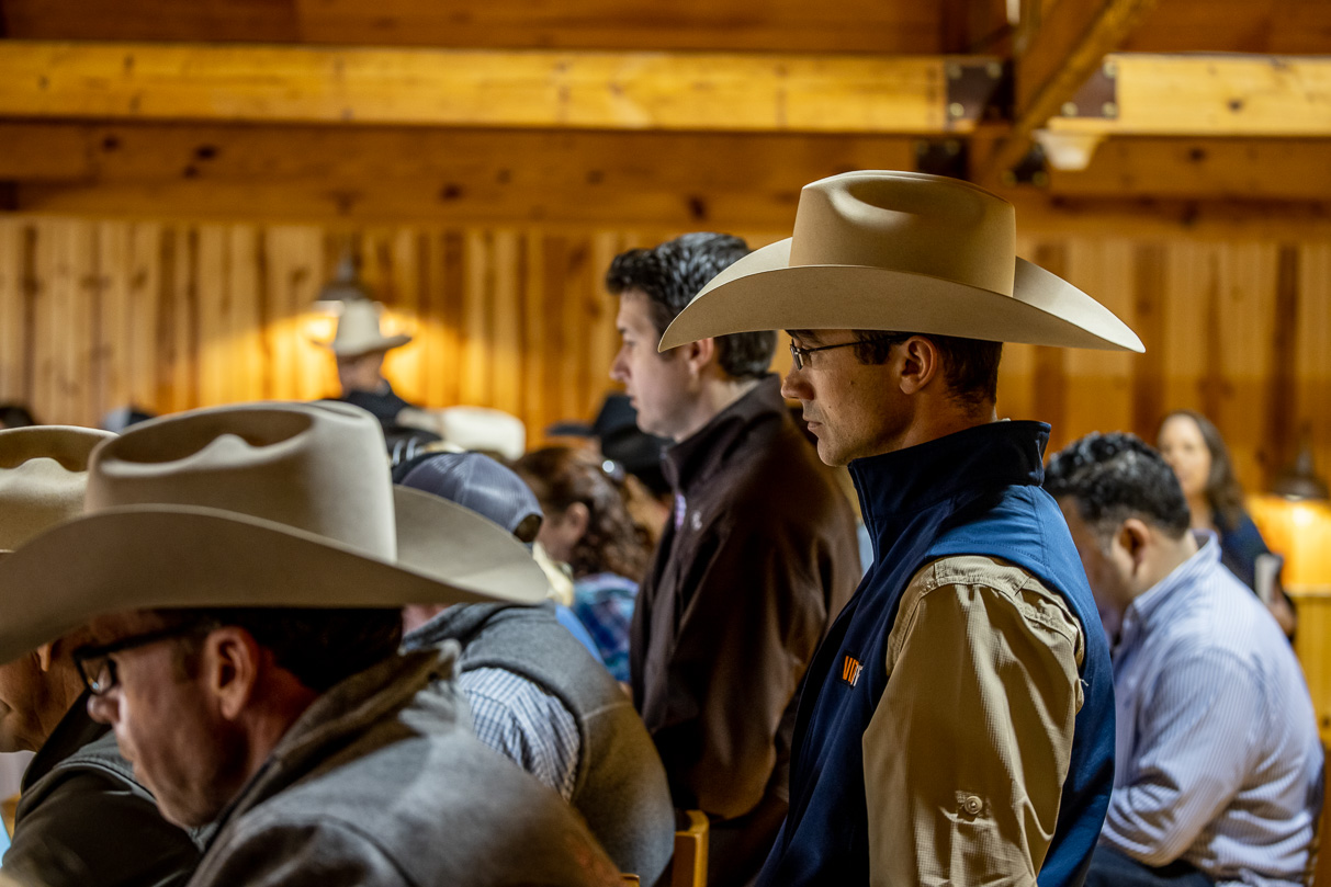 44Farms_Cameron_BullSale_Feb2021-523463