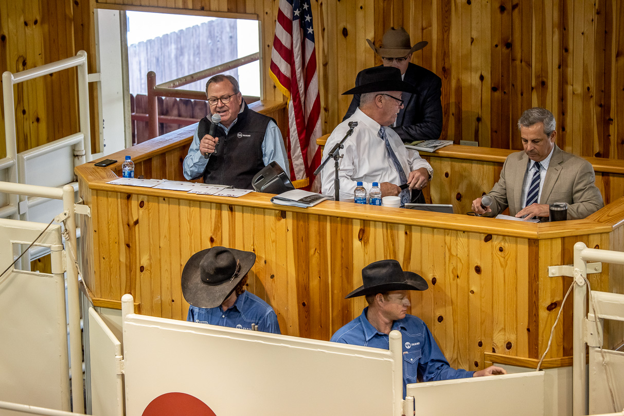 44Farms_Cameron_BullSale_Feb2021-523491