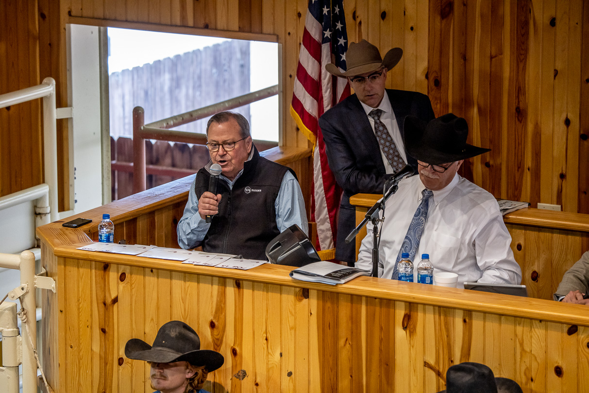 44Farms_Cameron_BullSale_Feb2021-523494