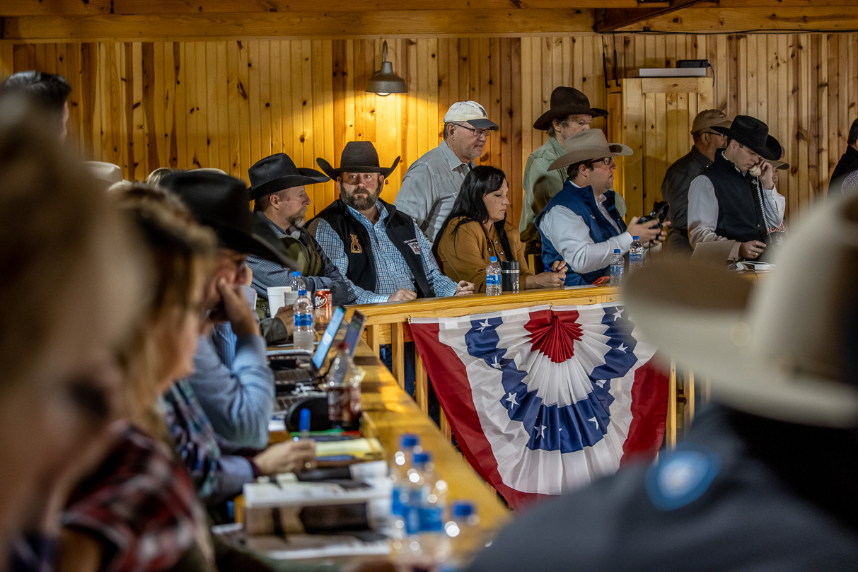 44Farms_Cameron_BullSale_Feb2021-523518