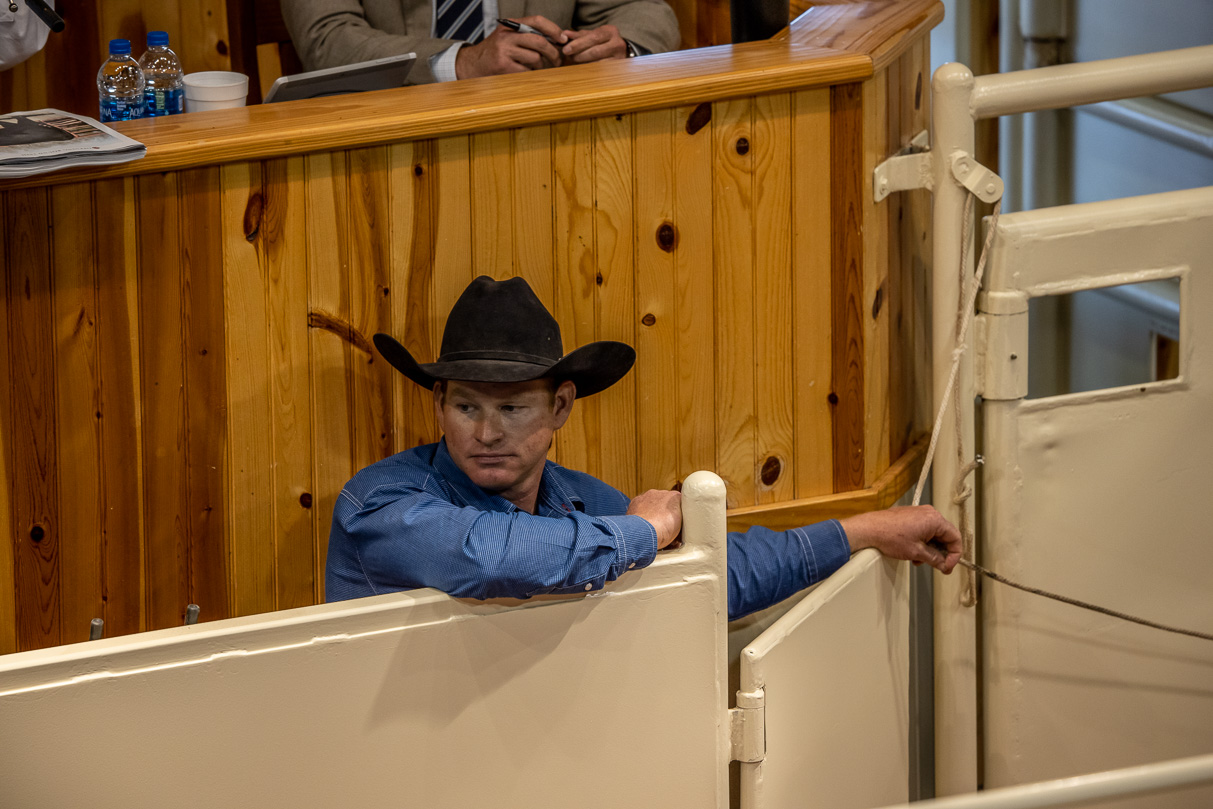 44Farms_Cameron_BullSale_Feb2021-523552