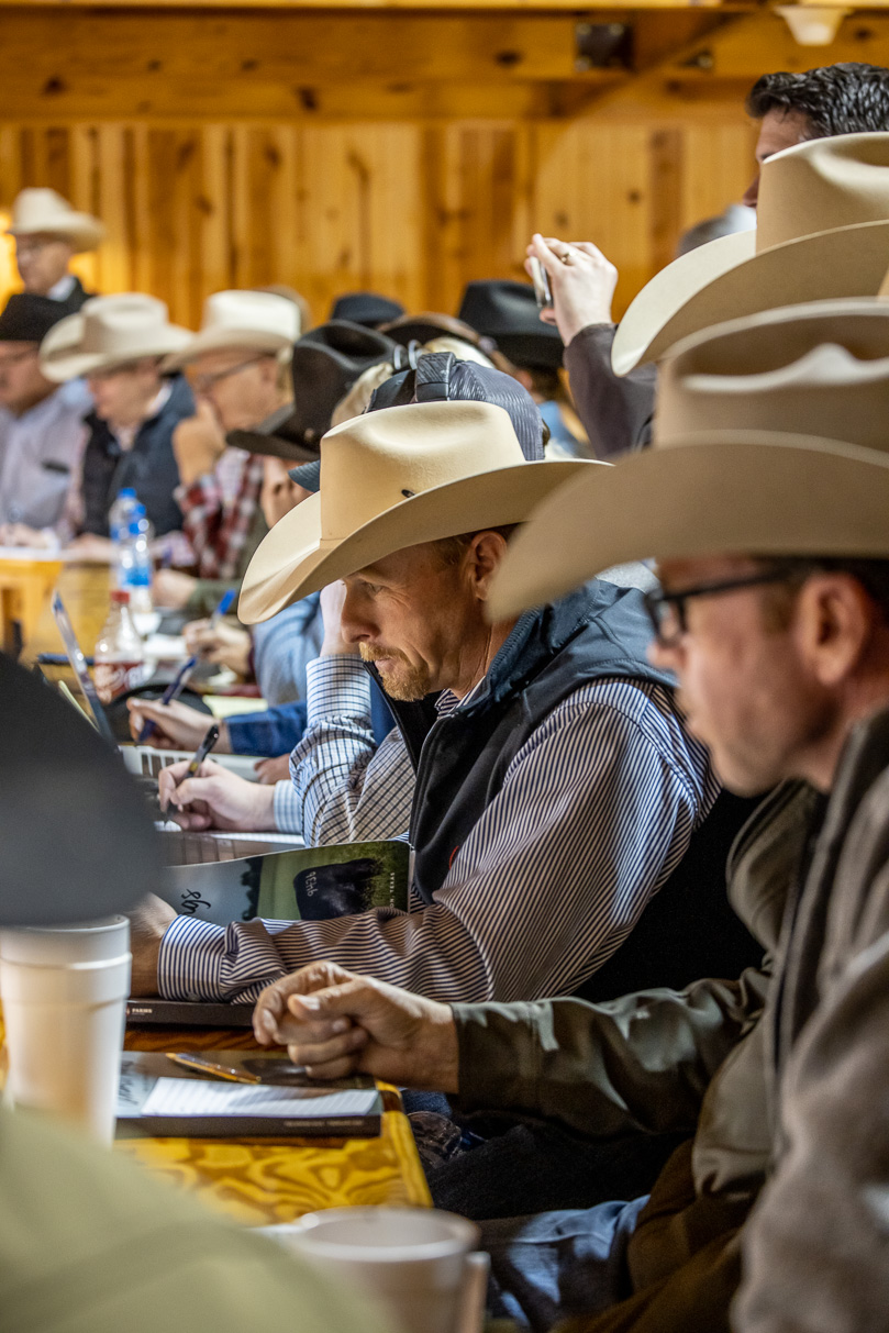 44Farms_Cameron_BullSale_Feb2021-523562