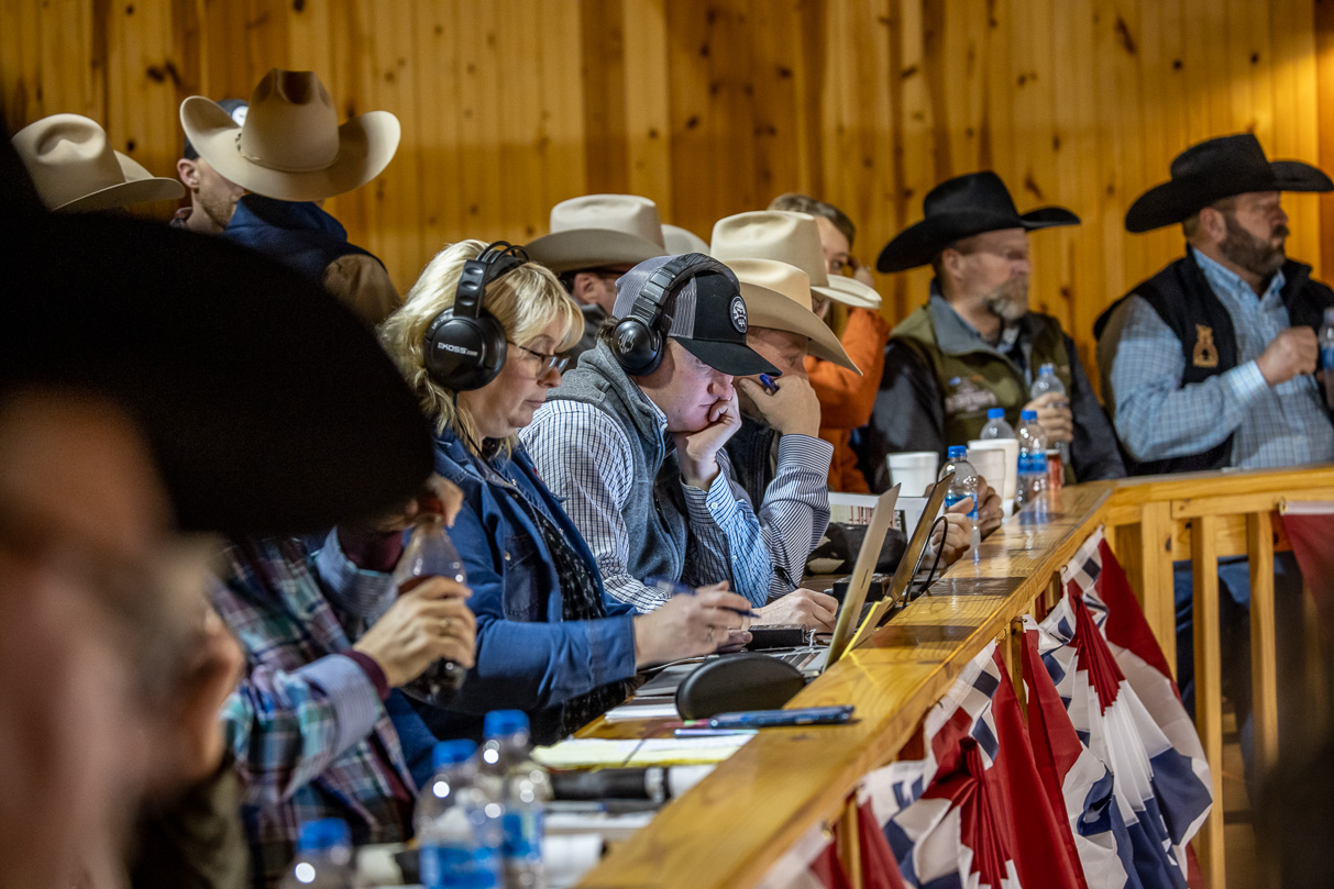44Farms_Cameron_BullSale_Feb2021-523567
