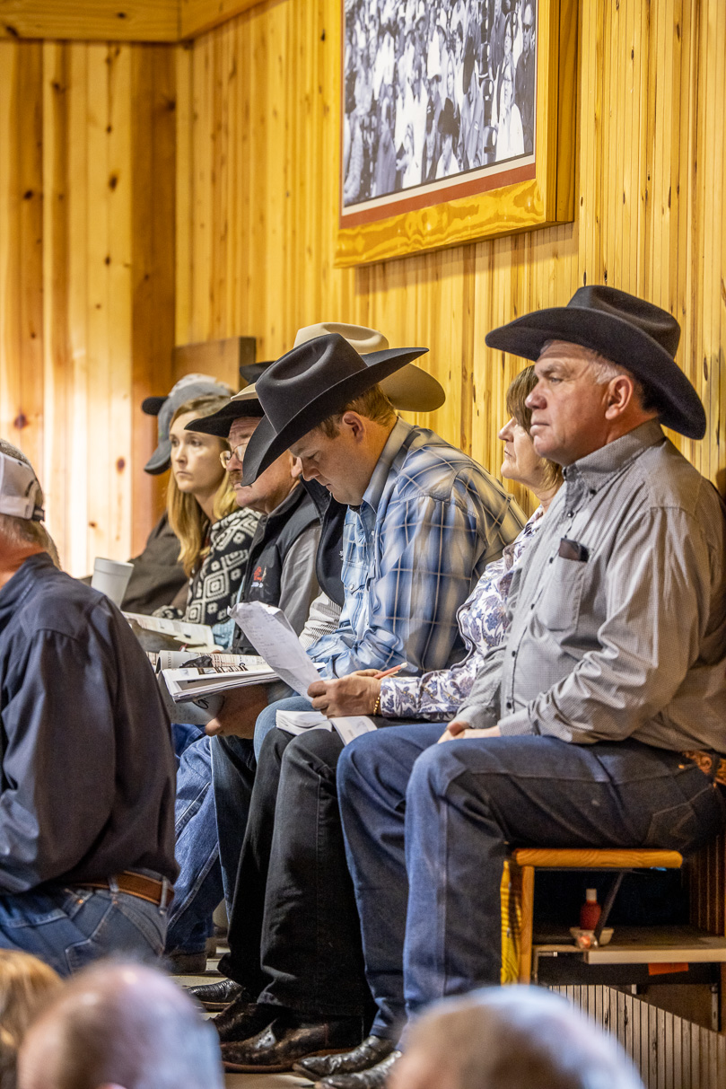 44Farms_Cameron_BullSale_Feb2021-523594