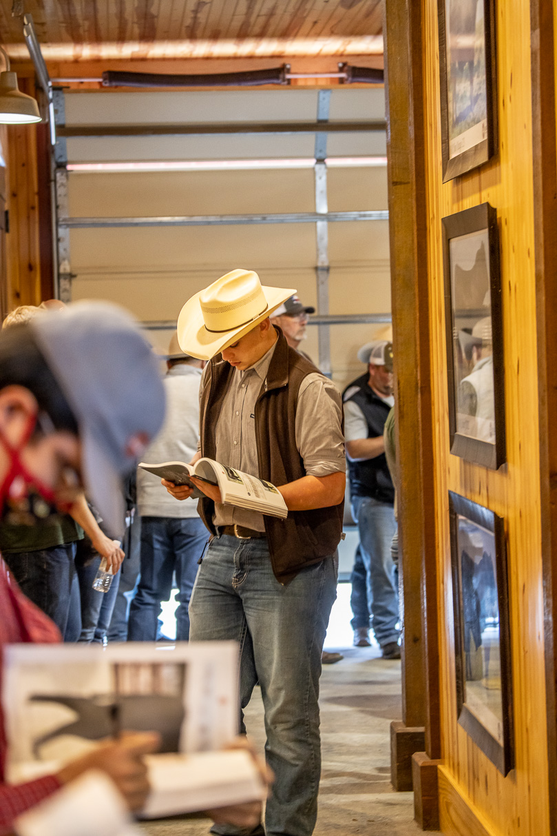 44Farms_Cameron_BullSale_Feb2021-523597