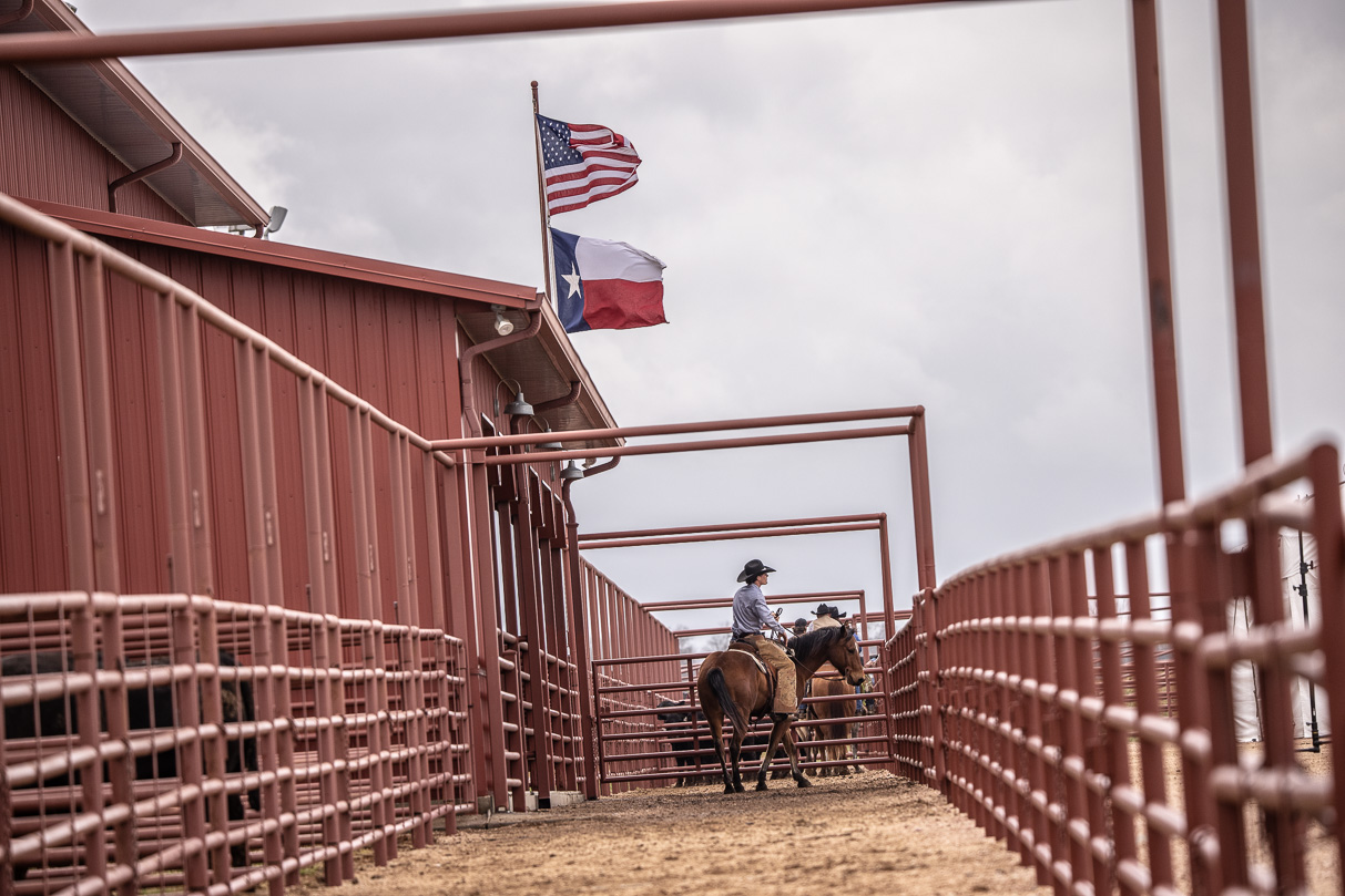 44Farms_Cameron_BullSale_Feb2021-523607