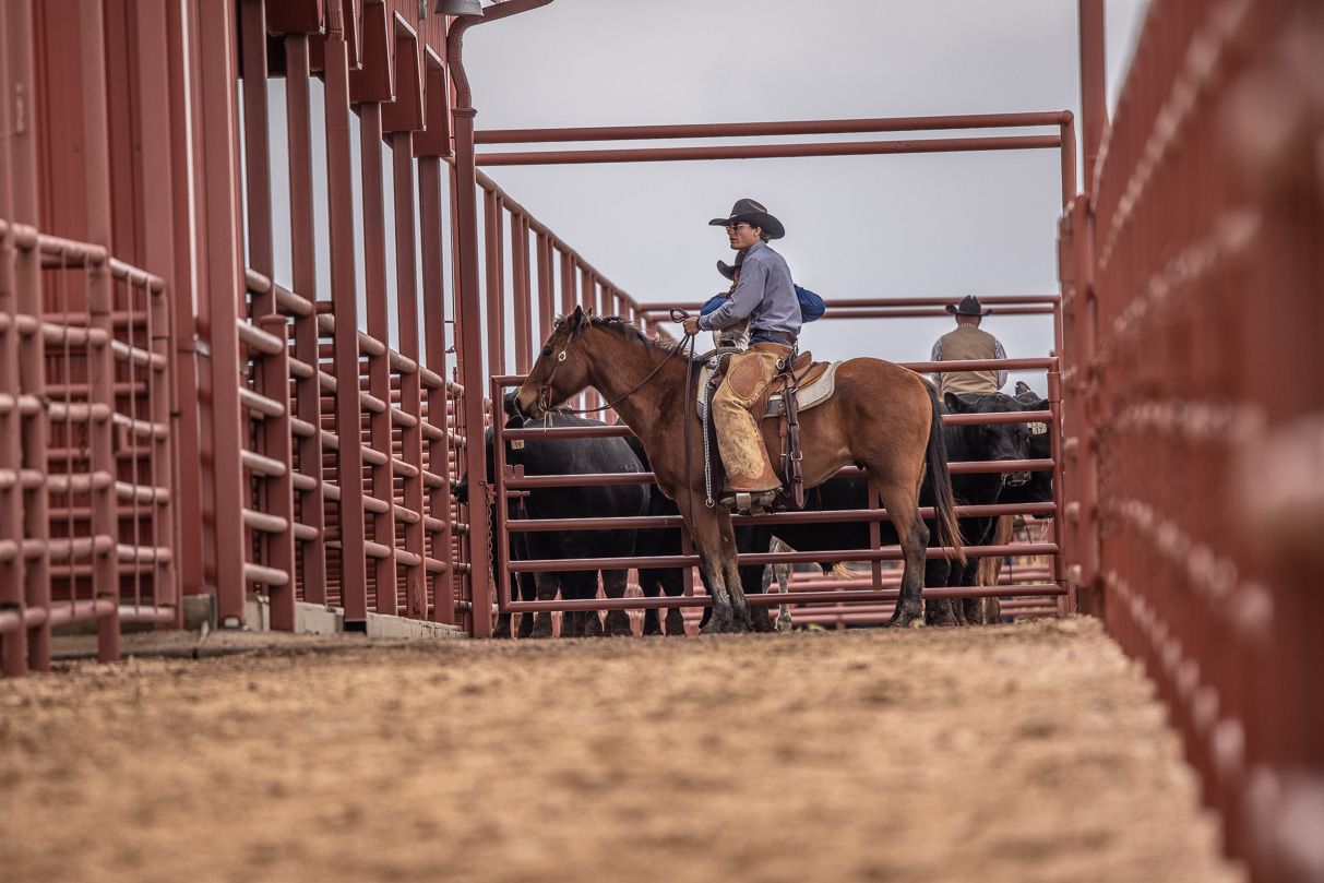 44Farms_Cameron_BullSale_Feb2021-523612