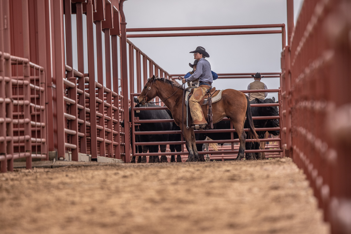 44Farms_Cameron_BullSale_Feb2021-523613